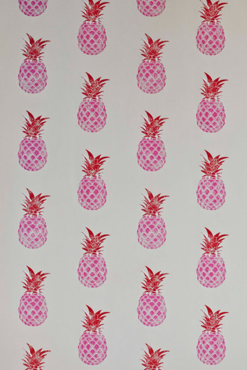 PINEAPPLE RED  PINK BG1200201